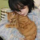 yyii-