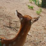 你给我放下二郎腿