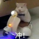 阿榆榆