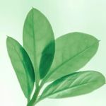 我的事说来话长