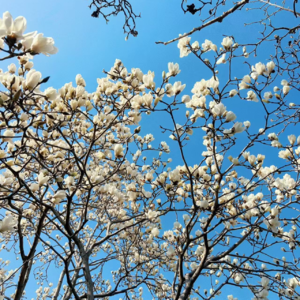 6.旅居人旅居魂~天地之间到处混