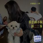 E20｜我们和小狗的二三事