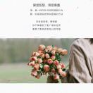 HD1009052r