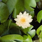 你今天真好看呀