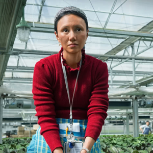 Ep123《蜂蜜的针》：一个坏导演拍出来的坏电影