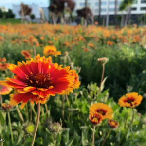 EP60-高能量修炼:爱无需确认|恨父母是疗愈的开始|原生家庭有罪吗|创造伴侣|释放情绪看到爱