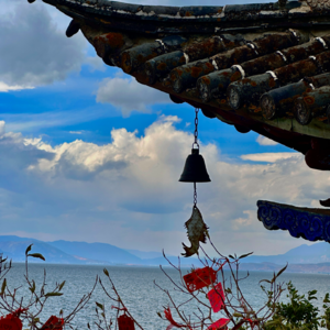 Ep4.挥之不去的高考:是我的职业烙印,是他反复无常的梦