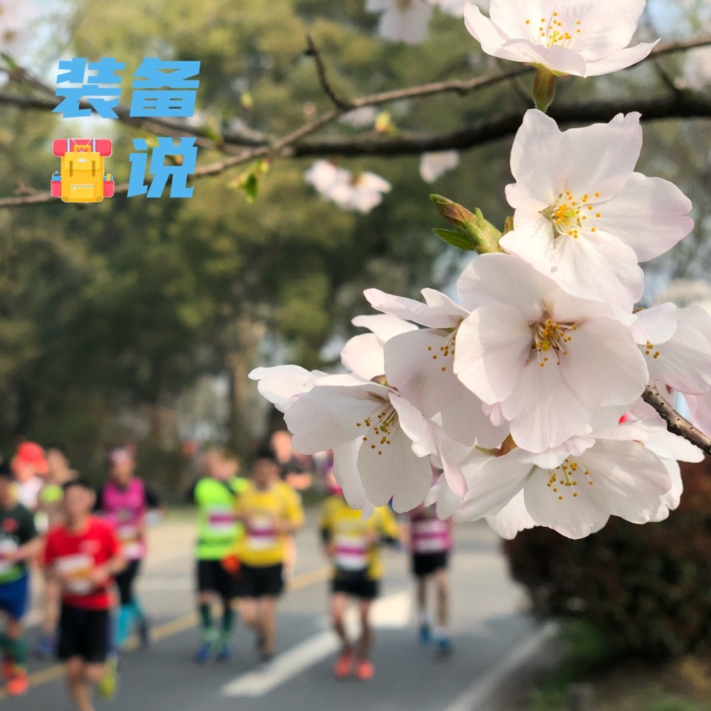 cover of episode EP24: 从亚运会马拉松选拔赛聊比赛装备