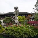 一天到晚游泳的鱼_70GT