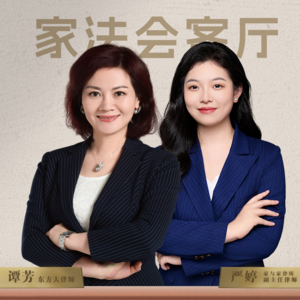 Vol3.谭芳对话严婷，是温柔宝妈也是精英律师