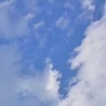 山泉大鱼头