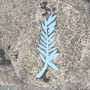 78Cannes戛纳出行记Day 12: 主竞赛拥挤，双黄蛋势在必行！