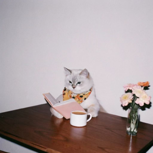 68. 读书喝茶养好自己，这才是冬天该有的样子