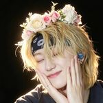 血染淇菊