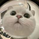 心有所致不费劲