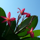 海蓝的山峰