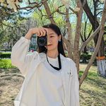 Shang_AuMl