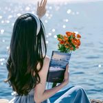 玫瑰林里的小猫