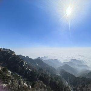 刀姐-小怂人俱乐部主播