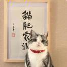 妖妖_npjy