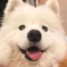 耶耶耶耶耶耶耶_nokP