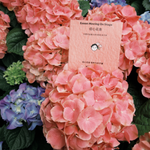 EP62.春天听什么 🌷| 「信心花舍 特殊为你开铺」