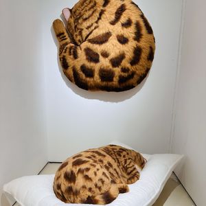 小情绪328