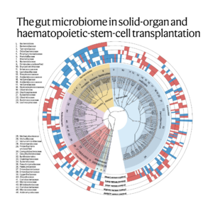 441-The Gut Microbiome for Transplantation Success