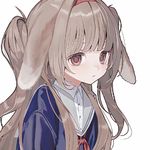 AAA专业母猪护理