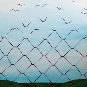 E15 “三无”普通人离开互联网大厂