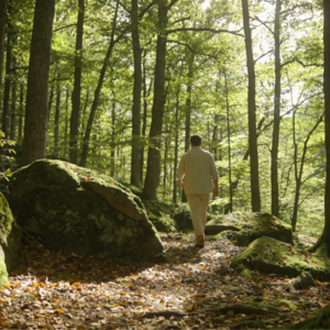 助眠锦鲤睡前故事01森林漫步