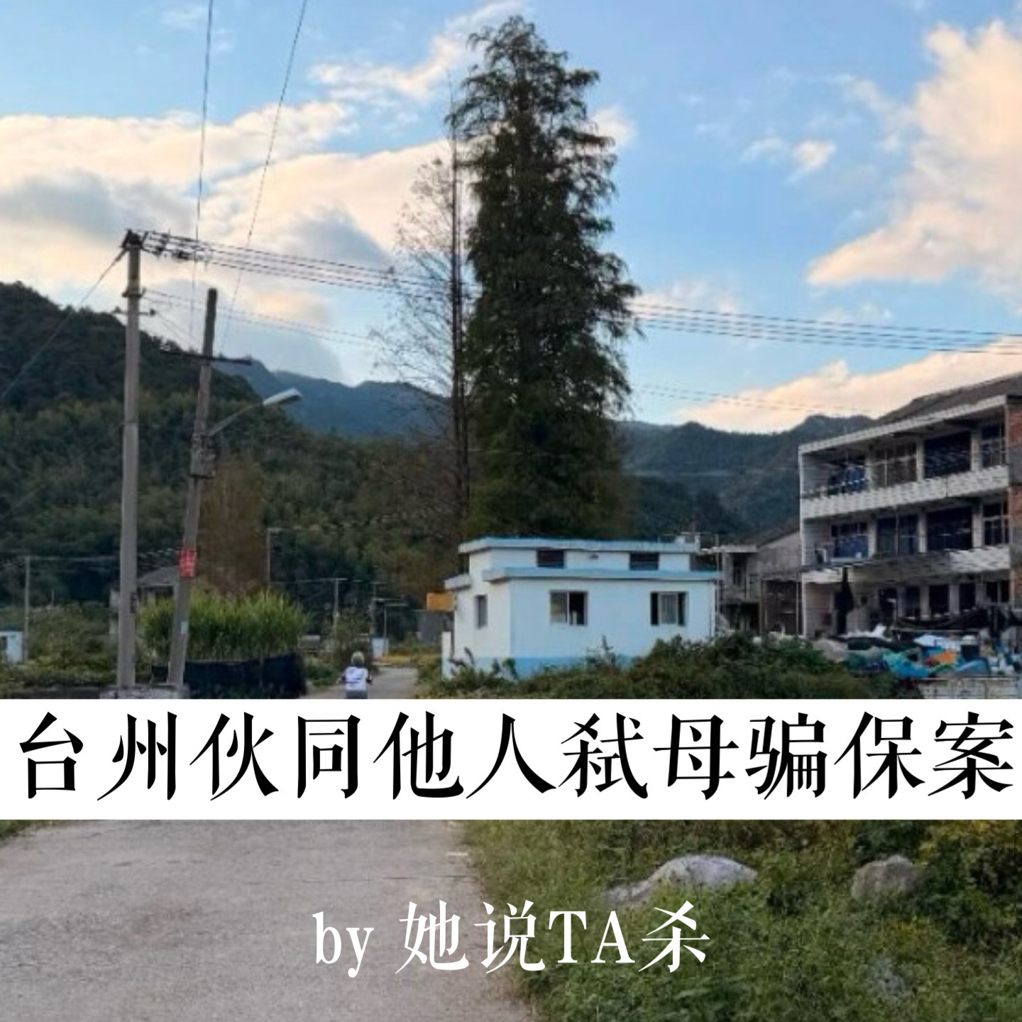 11.“先杀妈妈吧，我和她关系不好”：台州伙同他人弑母骗保案 episode artwork