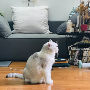 ep.014 | 奥运会结束了，但平淡的生活仍在继续