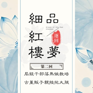 宝叔逐回细品红楼梦丨第二回 局级干部落马干教培 古董贩子亲授抱大腿