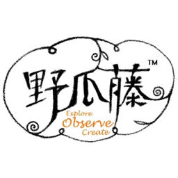 惊奇之心：圣诞树游戏