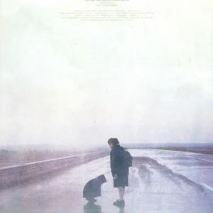 No.7 Solo | Tracy的年中感悟：2025上半年教会我的事