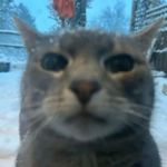 Bridget_4018