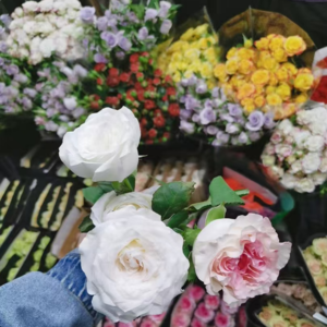 玄学会客厅126|拿铁老师如何从小白成长为神秘学大师