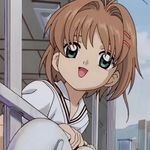 SK库洛牌批发商