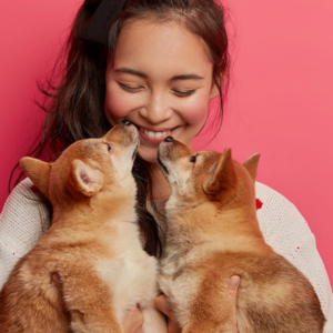 BBC随身英语｜动物也有情感吗？