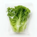 生菜塔塔酱