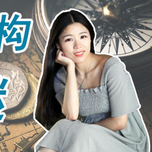 【美国公司法20讲（20）】VIE架构开曼群岛