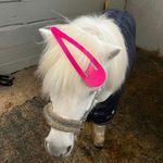 小鹰飞得更远
