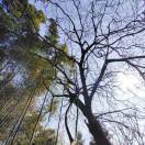 沈又又社会社会社会社会