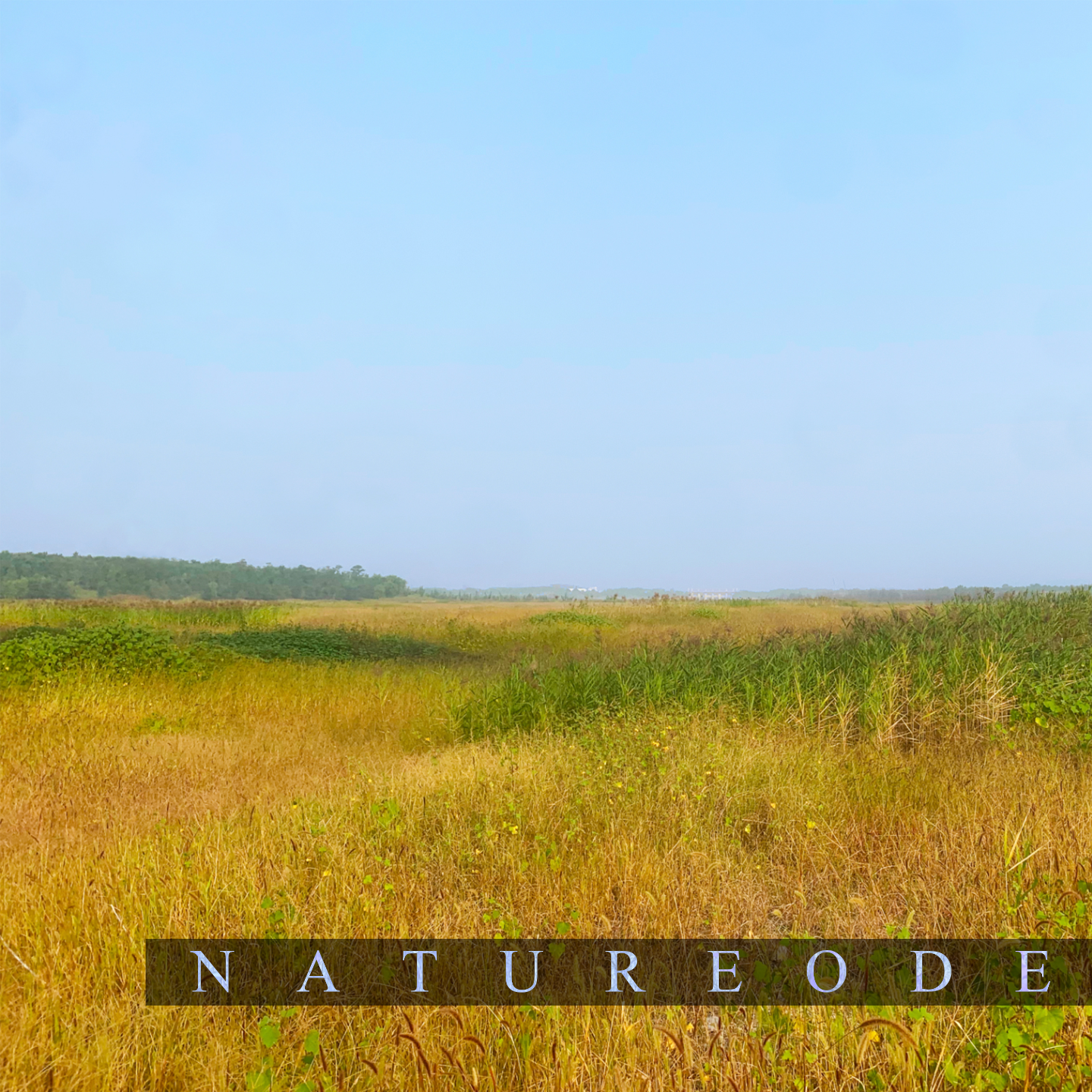 旷野息息·早秋鸣岐 episode artwork