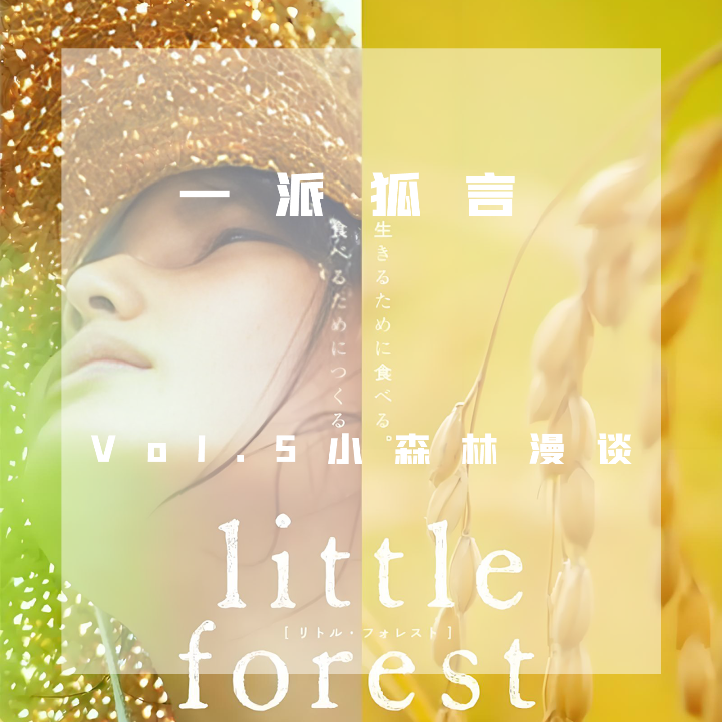 Vol.5 不止田野、吃喝，还有选择、生活——漫谈《小森林》 episode artwork