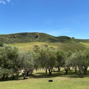 vol.58 新的一年最大的愿望是成功把自己嫁出去