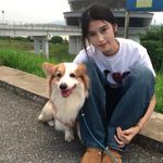 许愿苹果