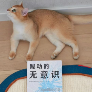 51 知识分子说人话很难吗?对谈译者阿花与作家小野酱