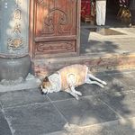 腰越状